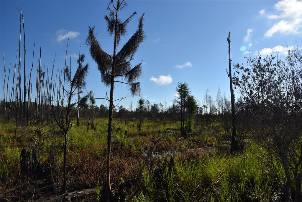 225 Off Highway Gainesville, FL 32609 - Photo 30 of 34 a view of a house with a yard