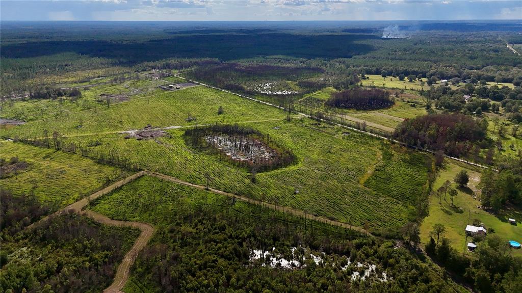 225 Off Highway Gainesville, FL 32609 - Photo 3 of 34 a view of swimming pool with a yard
