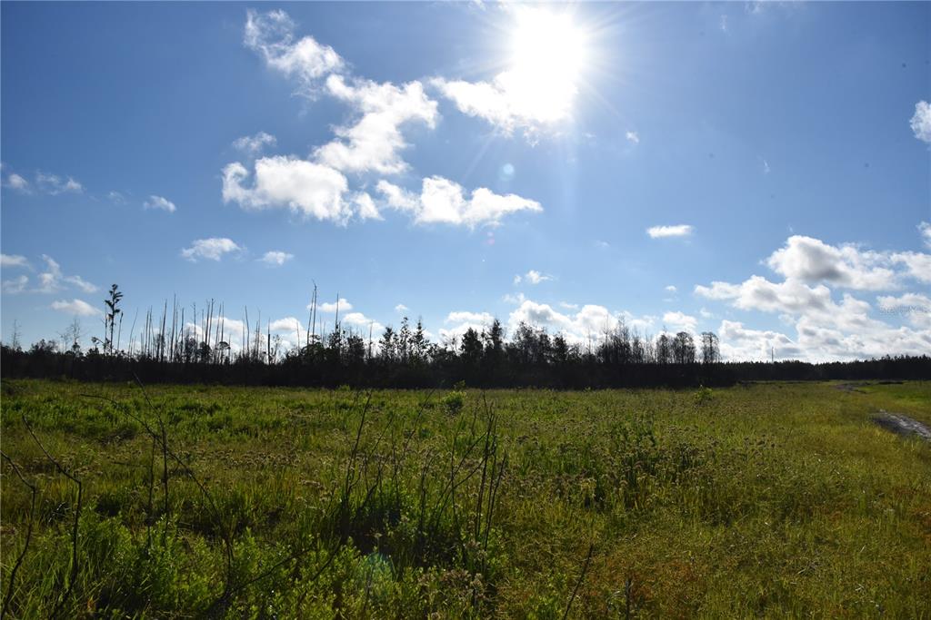 225 Off Highway Gainesville, FL 32609 - Photo 34 of 34 a view of a golf course with a lake