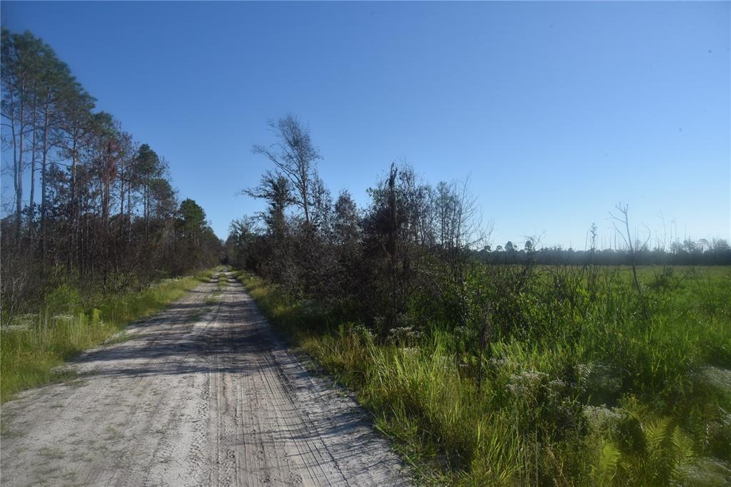 225 Off Highway Gainesville, FL 32609 - Photo 6 of 34 a view of a lake with a yard