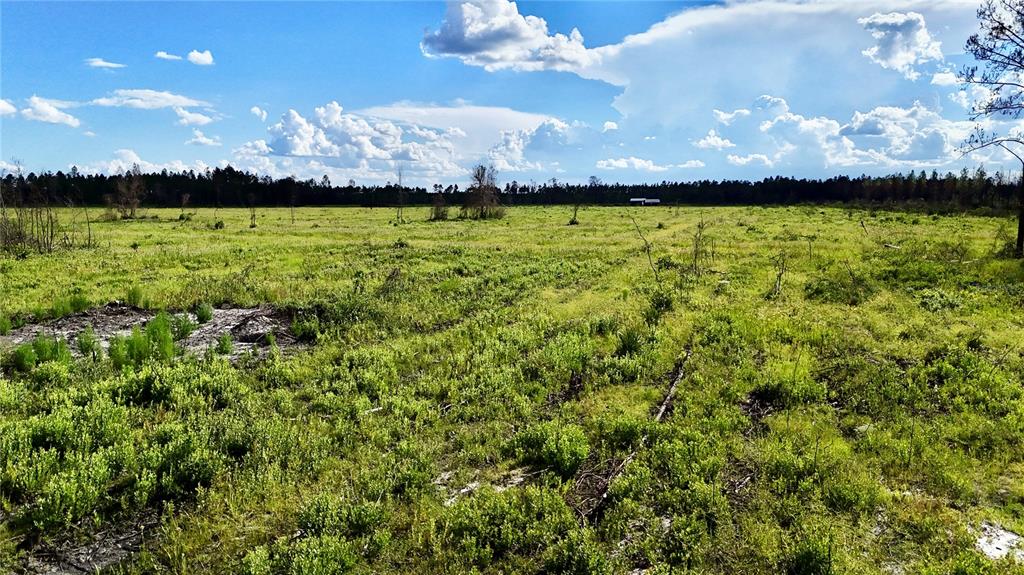 225 Off Highway Gainesville, FL 32609 - Photo 9 of 34 a view of a golf course with a lake