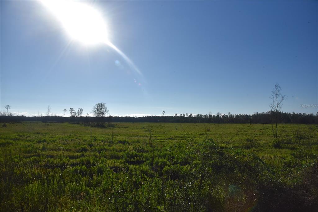 225 Off Highway Gainesville, FL 32609 - Photo 10 of 34 a view of outdoor space and yard