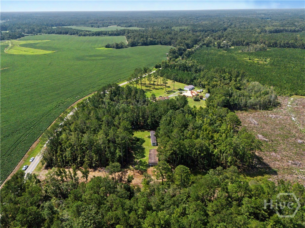 729 Reedsville Road Clyo, GA 31303 - Photo 34 of 41 Gallery Image 34