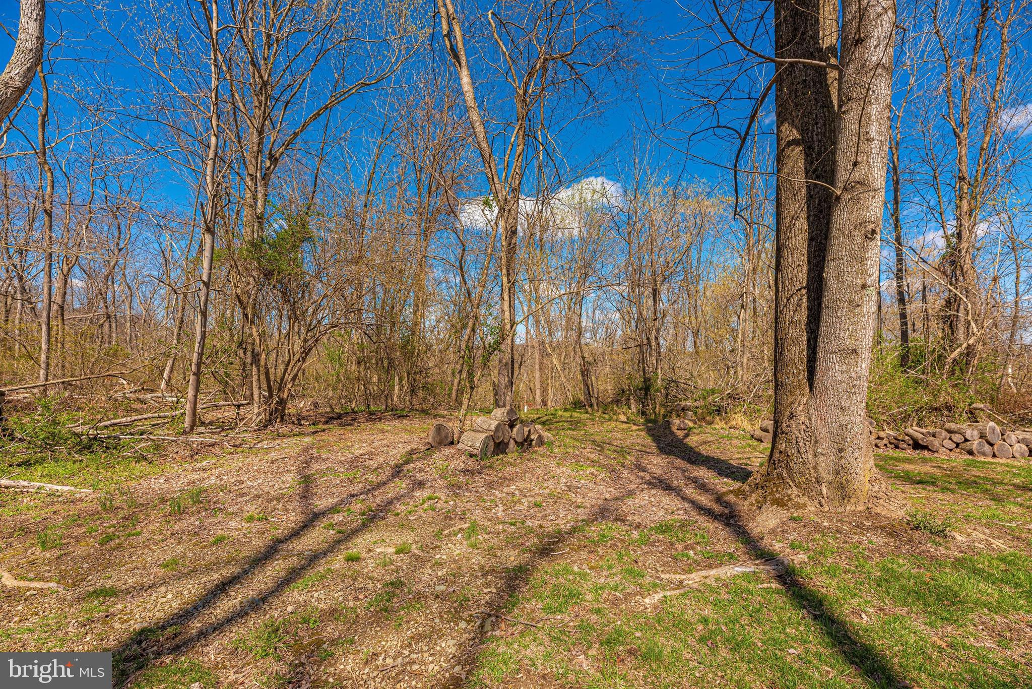 11775 Ridgeway Drive Monrovia, MD 21770 - Photo 55 of 79 Gallery Image 55