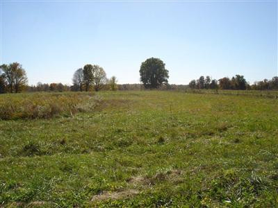 1 Ewing Ridge Road Dunnville, KY 42528 - Photo 2 of 3 Photo 2
