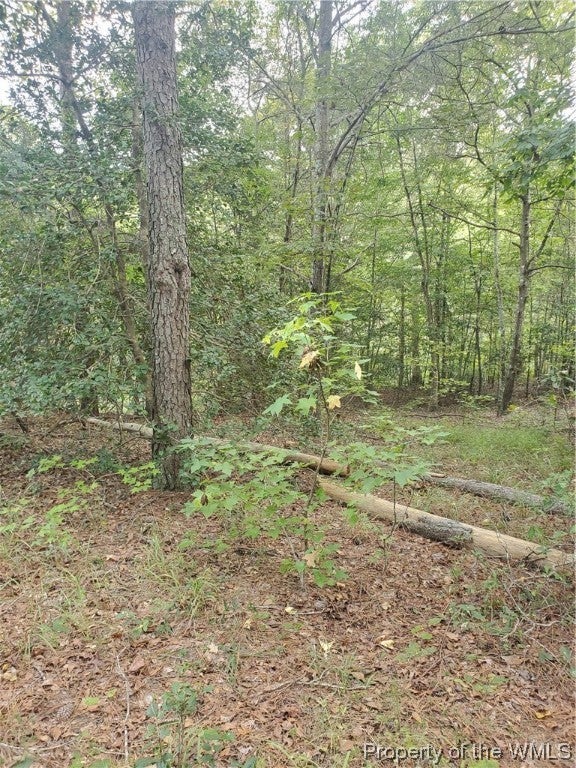 0 Wilkes Road Lanexa, VA 23089 - Photo 22 of 24 Gallery Image 22