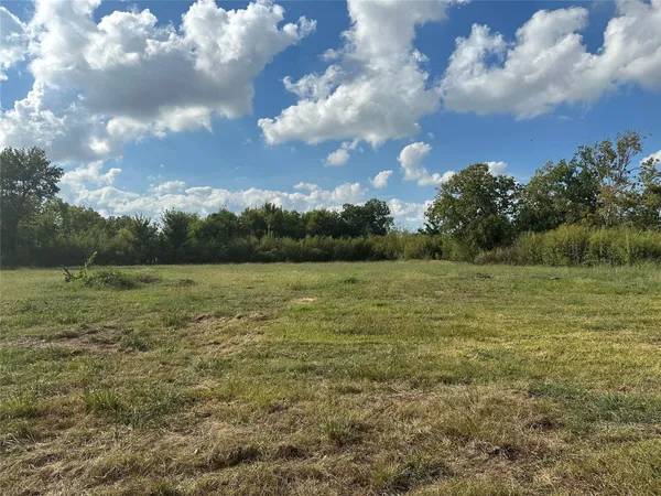 a view of a field with an ocean