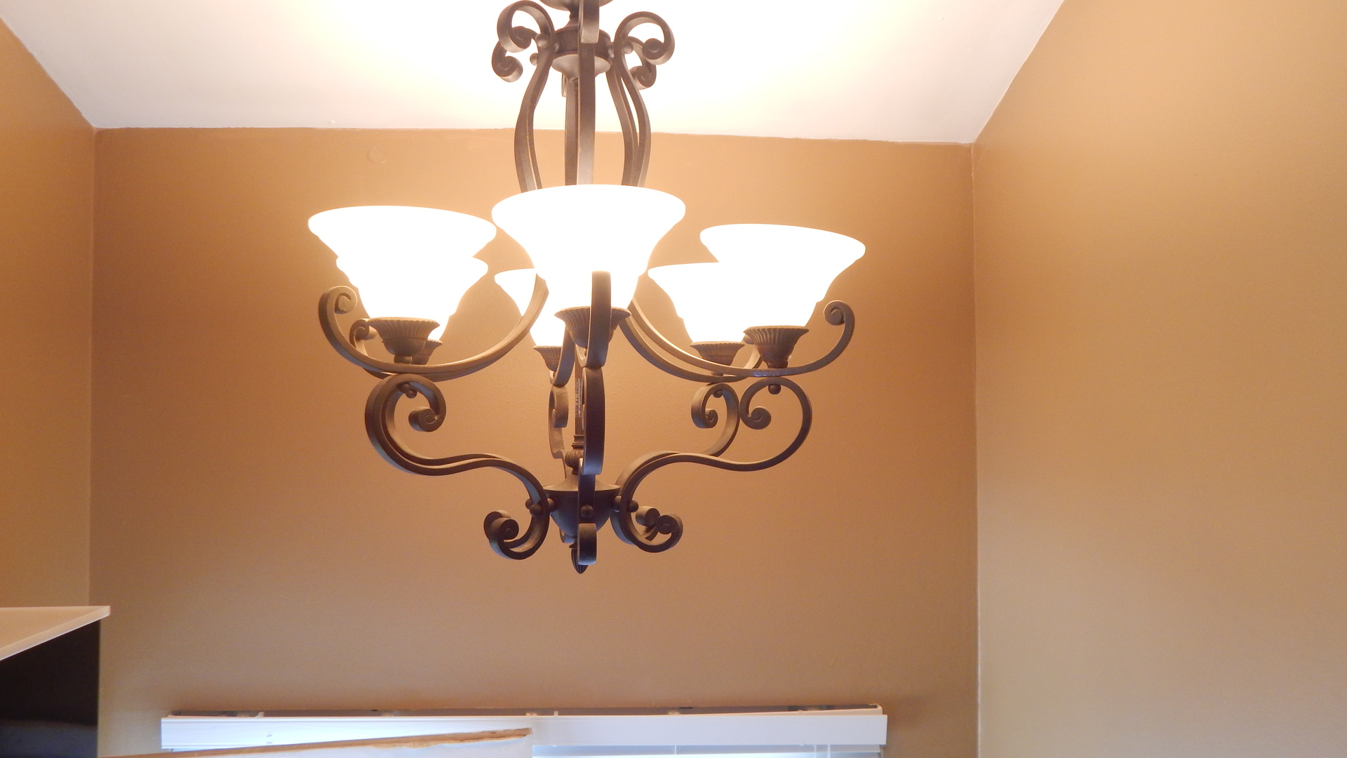 16 Elm Court, Unit 16 Bolingbrook, IL 60440 - Photo 23 of 27