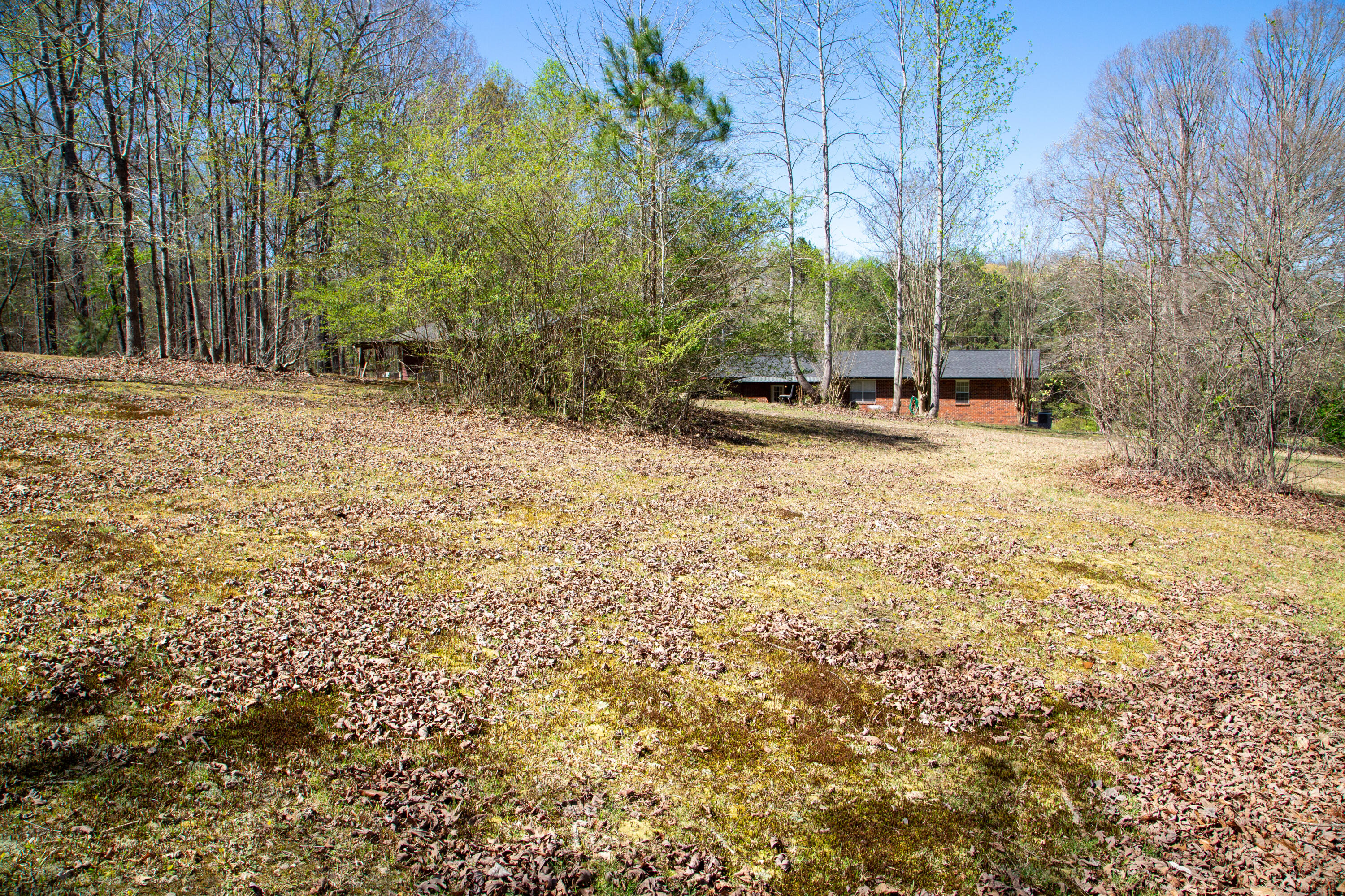 295 Bandy Road LaFayette, GA 30728 - Photo 9 of 30 IMG-9