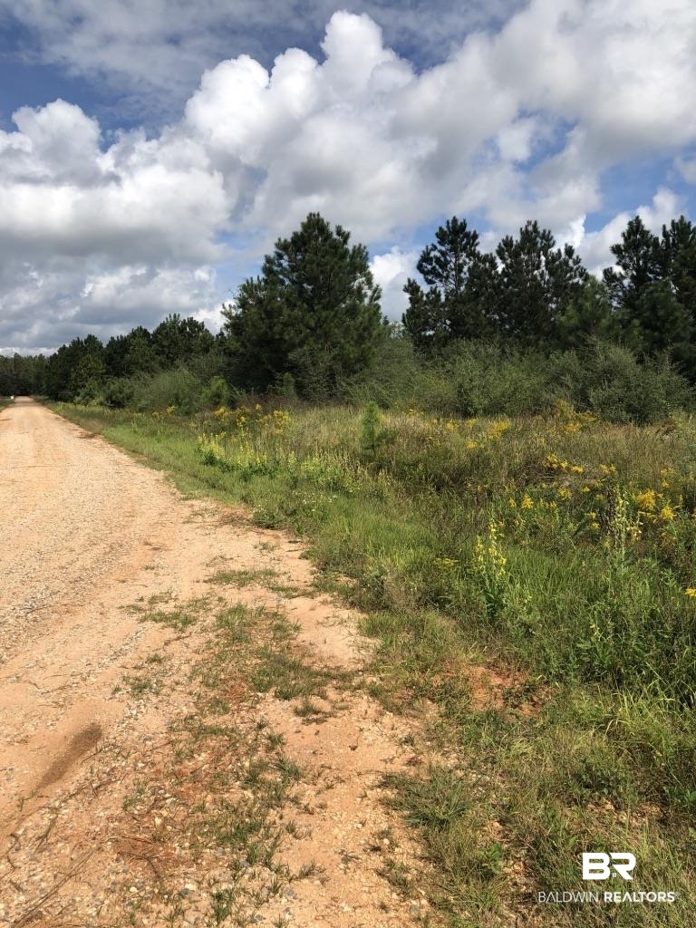 0 Fell Road Elberta, AL 36530 - Photo 3 of 13