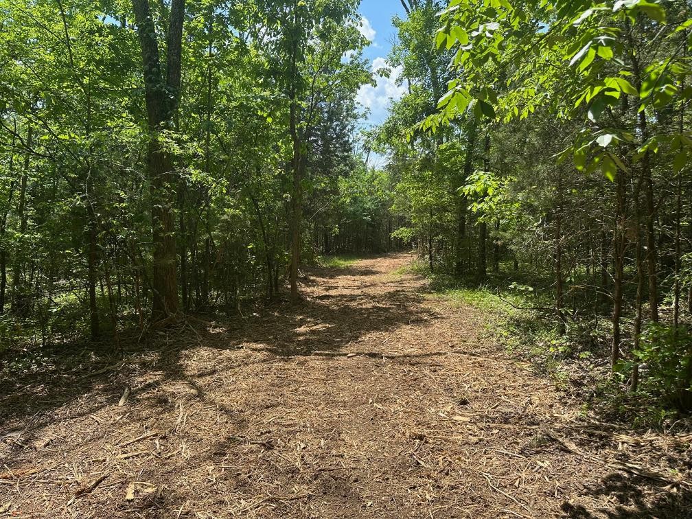 10515 Paw Paw Springs Road Arrington, TN 37014 - Photo 10 of 13 a view of outdoor space and yard