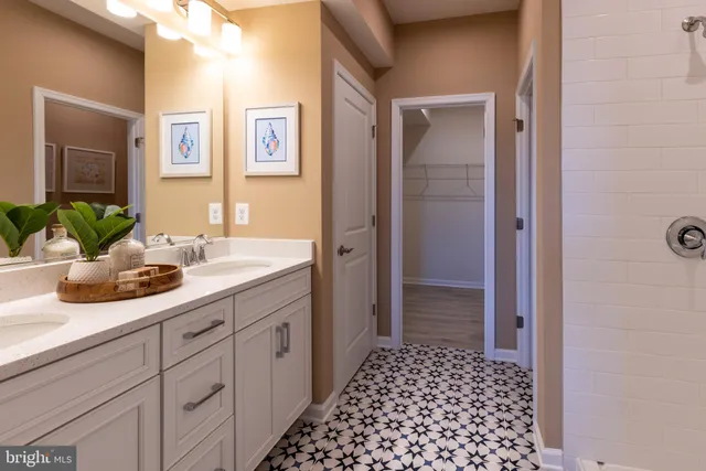 a bathroom with a sink a mirror and a shower