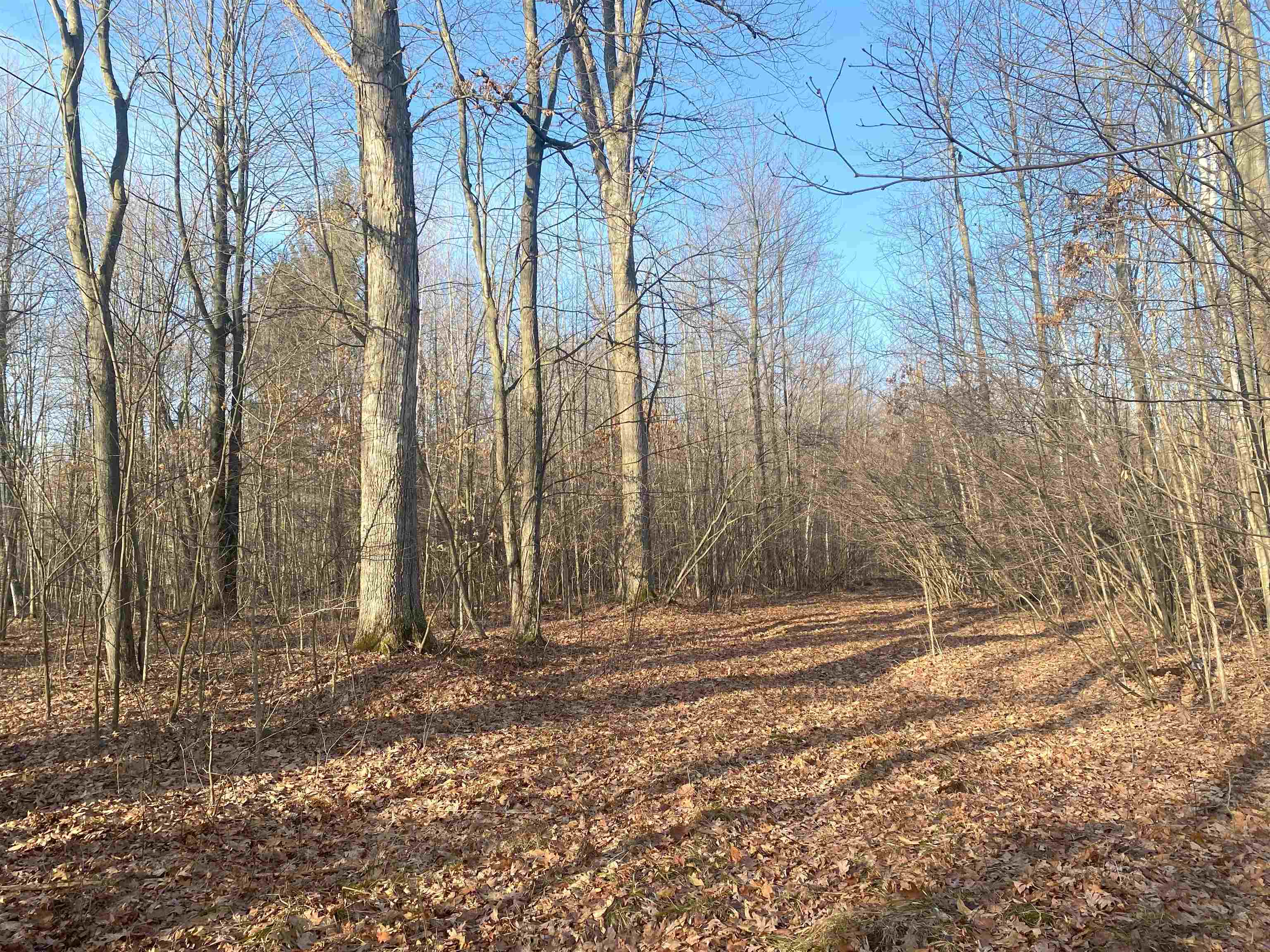 Tbd East Jordan Road Mount Pleasant, MI 48858 - Photo 8 of 15