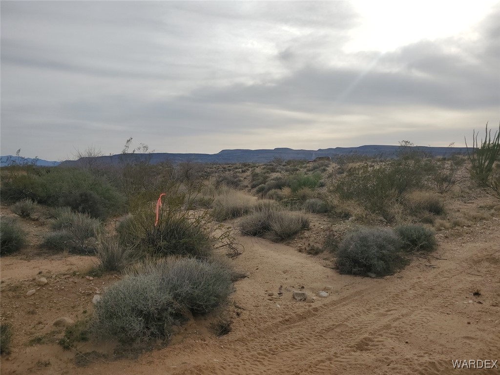 10018 Apache Road Yucca, AZ 86438 - Photo 2 of 14 a view of a dry yard with green space
