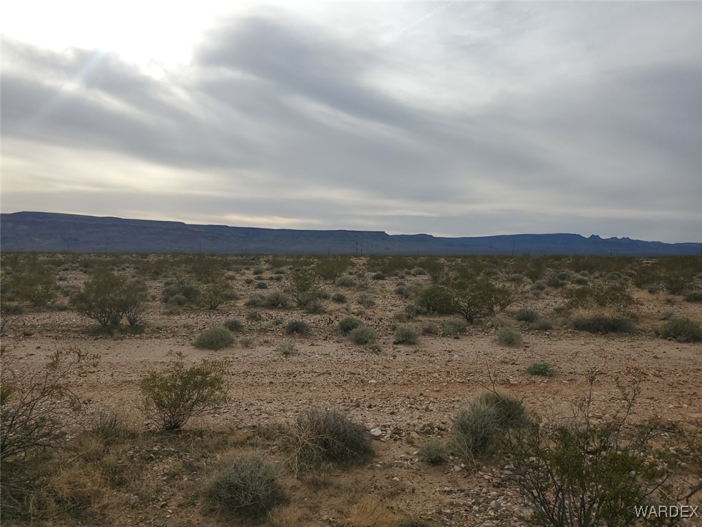 10018 Apache Road Yucca, AZ 86438 - Photo 5 of 14 a view of a dry yard with lots of trees