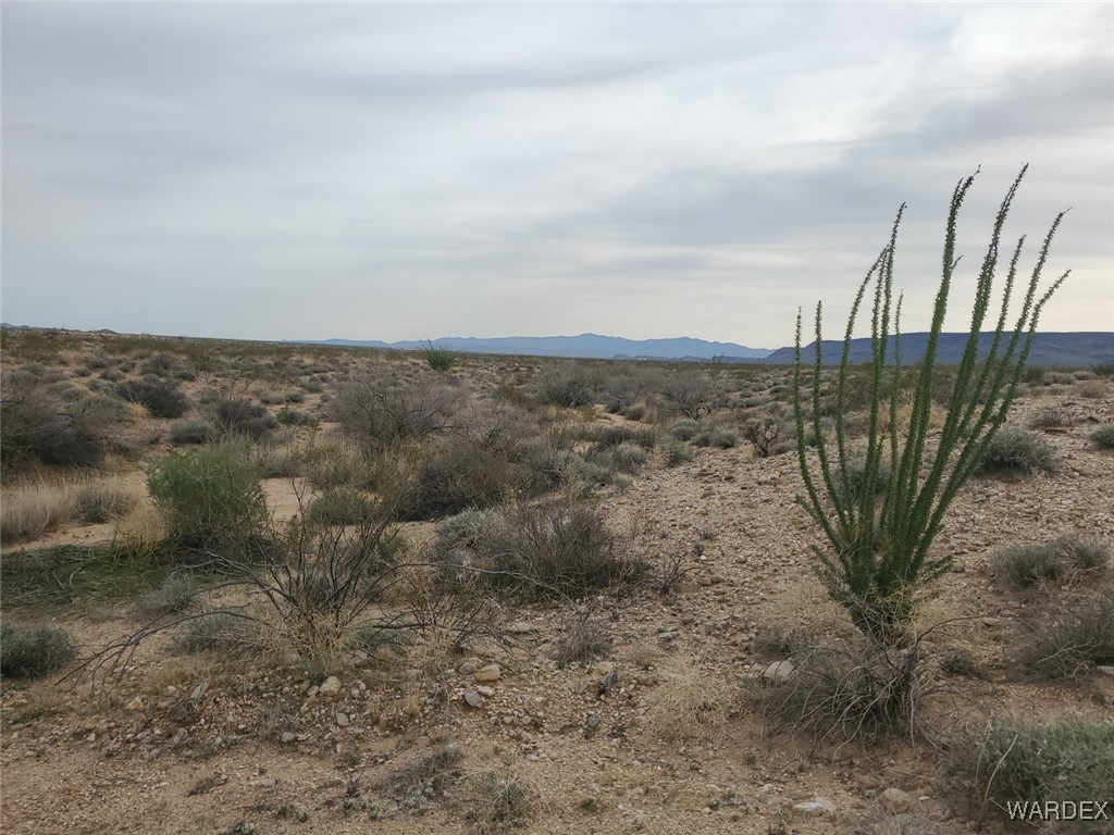 10018 Apache Road Yucca, AZ 86438 - Photo 9 of 14 a view of a dry yard with wooden fence