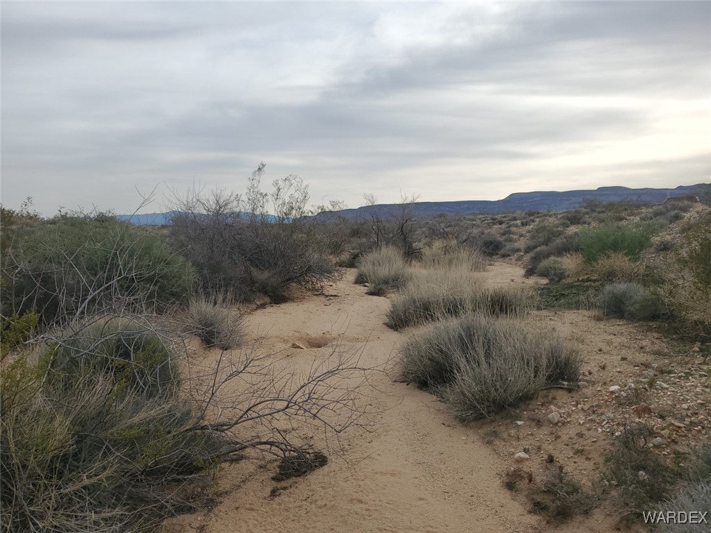 10018 Apache Road Yucca, AZ 86438 - Photo 10 of 14 a view of a dry yard with mountains in the background