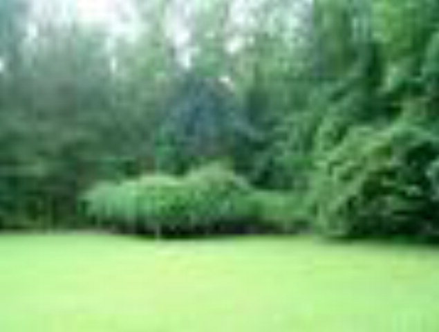 103 Main Street Edward, NC 27821 - Photo 4 of 11 Additional Photo