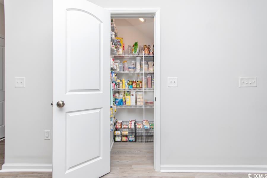 131 Machrie Loop, Unit A Myrtle Beach, SC 29588 - Photo 8 of 40 View of pantry