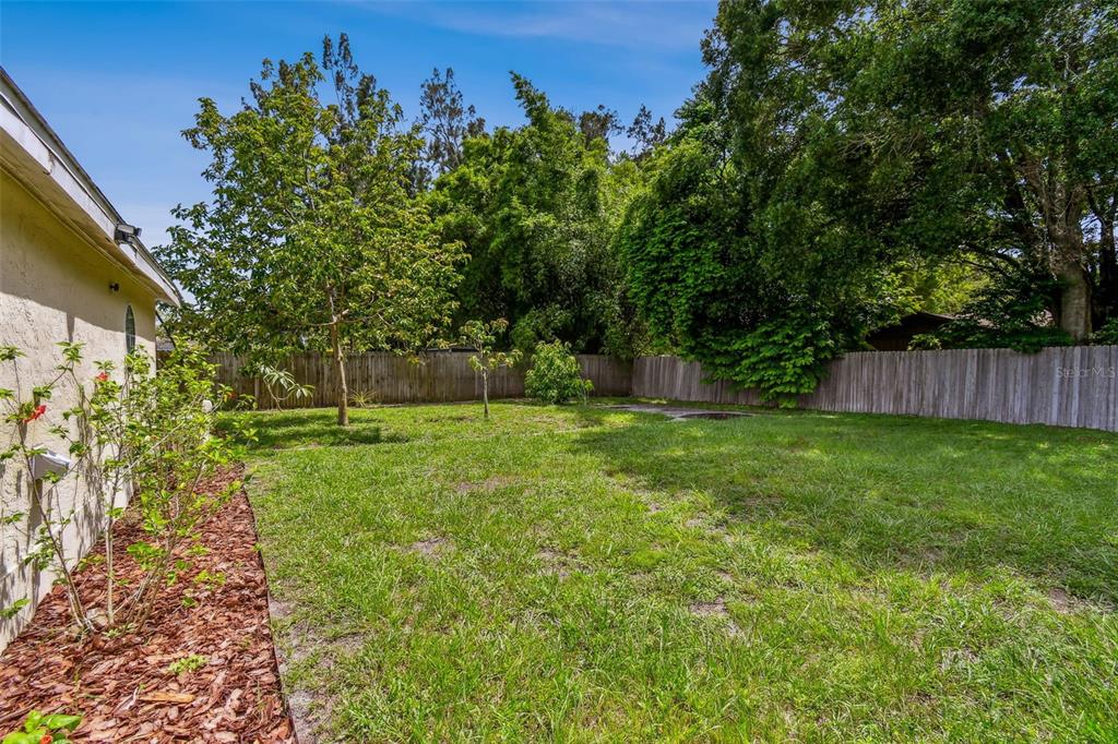 1722 Albemarle Road Clearwater, FL 33764 - Photo 42 of 50 a view of a yard with a tree