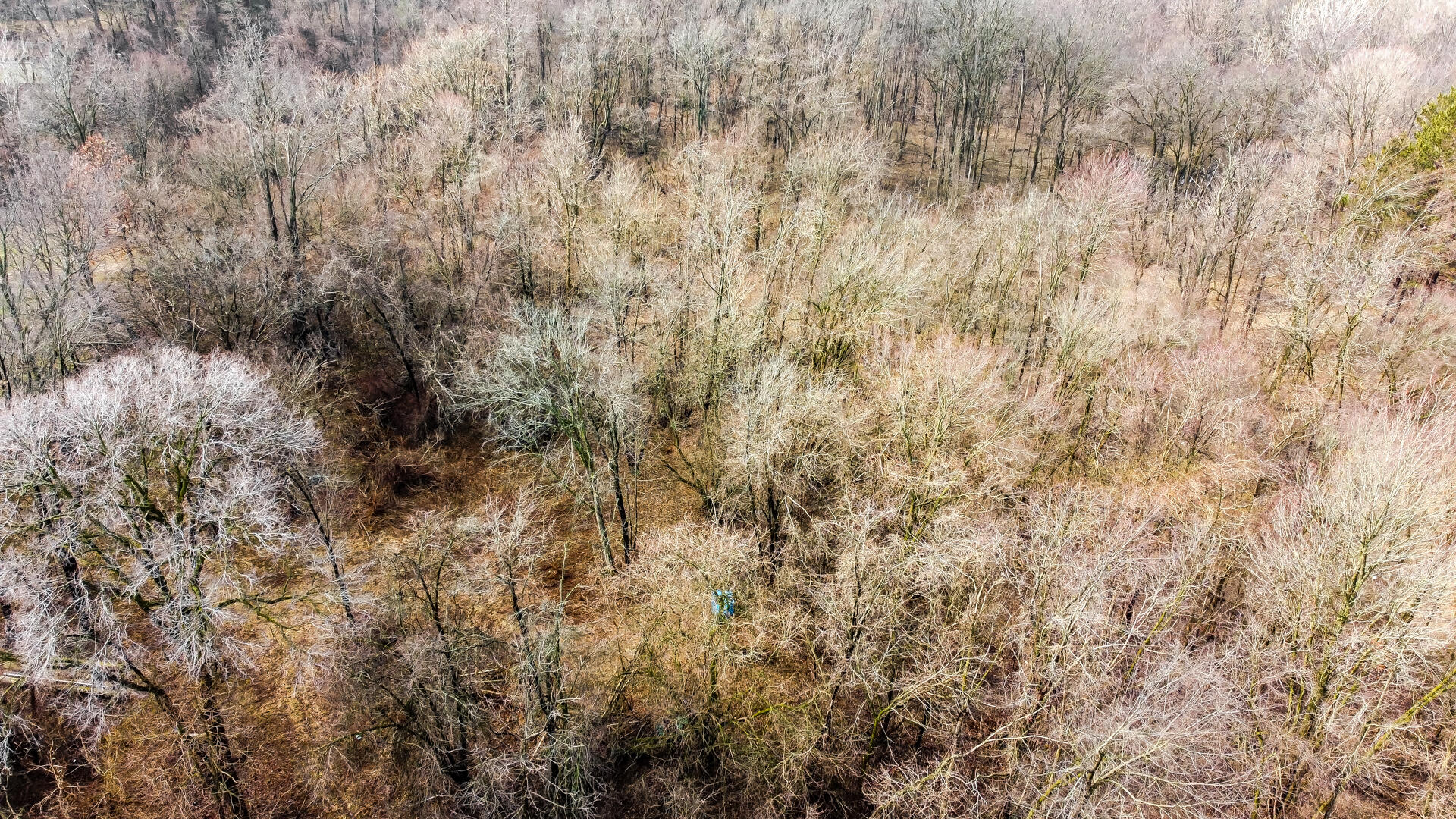 0 Timothy Road New Carlisle, IN 46552 - Photo 5 of 10 a view of a dry yard