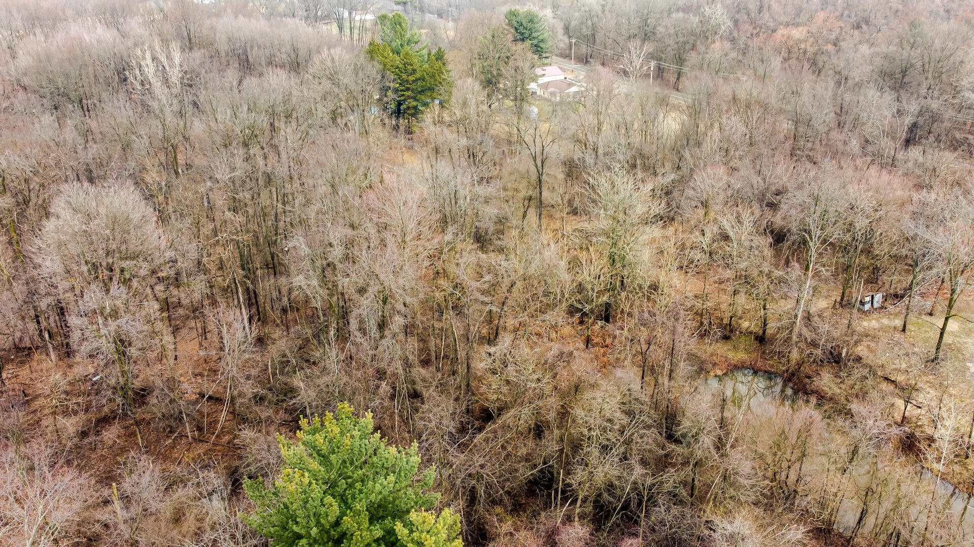 0 Timothy Road New Carlisle, IN 46552 - Photo 8 of 10 a view of a lush green forest with large trees