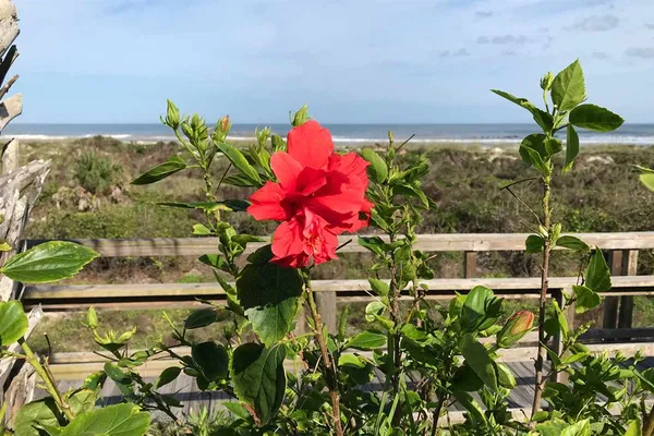 $295,000 | 6300 A1A South, Unit B44U, St. Augustine, FL 32080