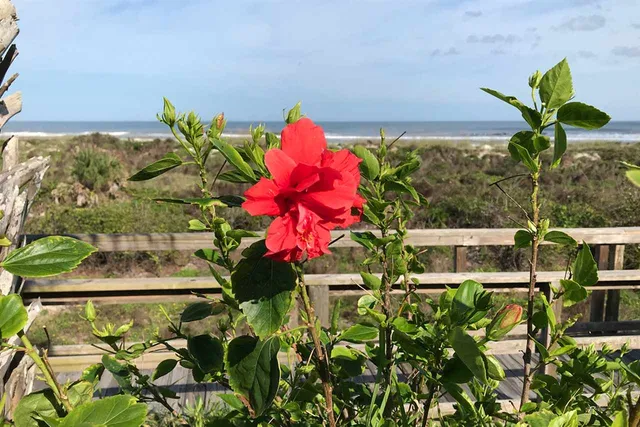 $295,000 | 6300 A1A South, Unit B44U, St. Augustine, FL 32080