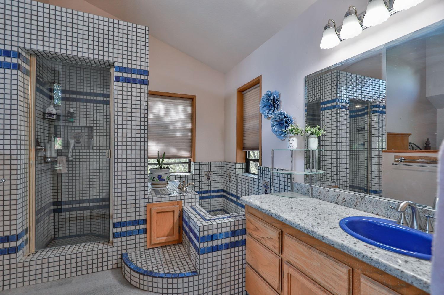 6091 Dutch Mine Road Diamond Springs, CA 95619 - Photo 18 of 83 Master Bathroom