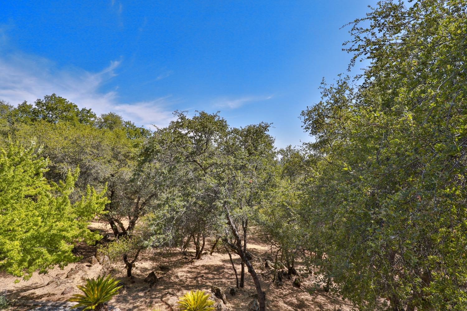 6091 Dutch Mine Road Diamond Springs, CA 95619 - Photo 42 of 83