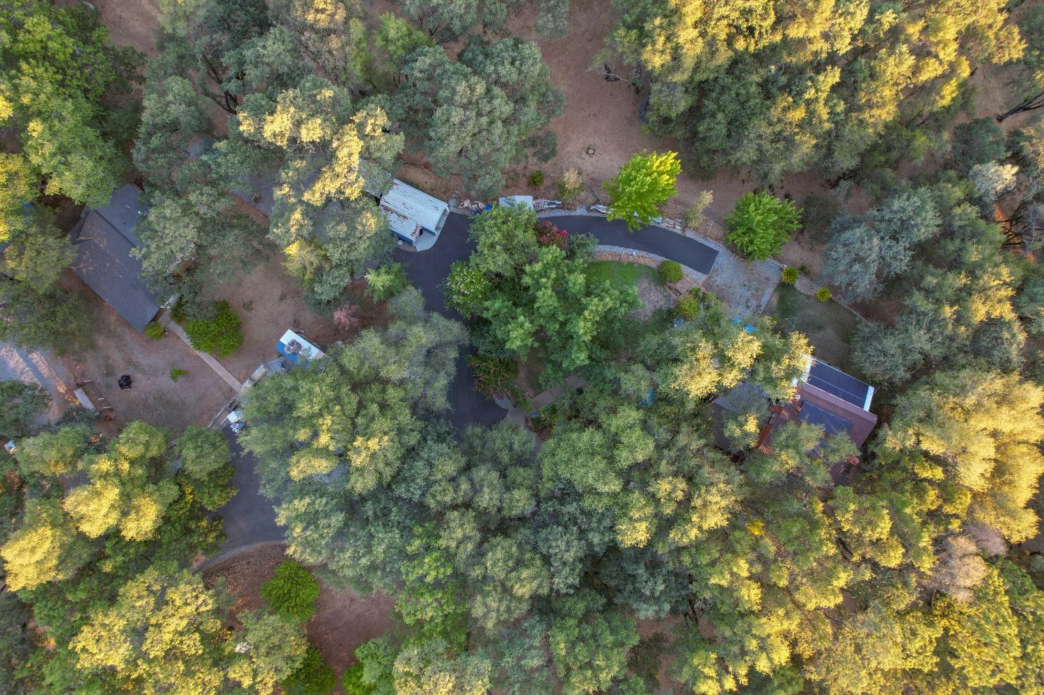 6091 Dutch Mine Road Diamond Springs, CA 95619 - Photo 54 of 83