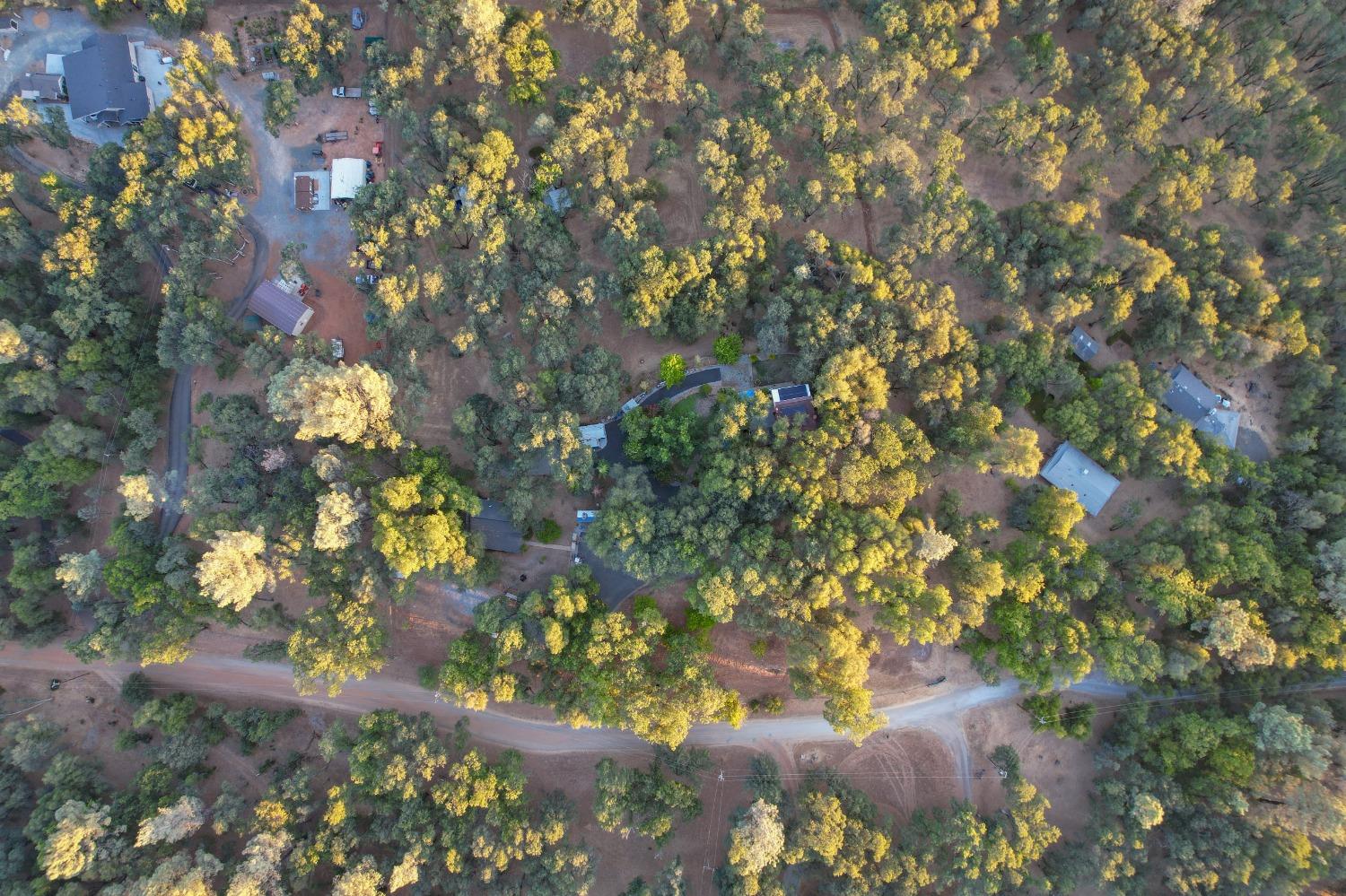 6091 Dutch Mine Road Diamond Springs, CA 95619 - Photo 79 of 83