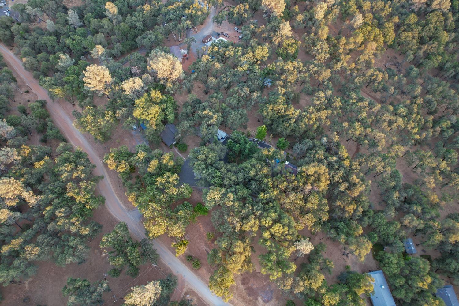 6091 Dutch Mine Road Diamond Springs, CA 95619 - Photo 82 of 83