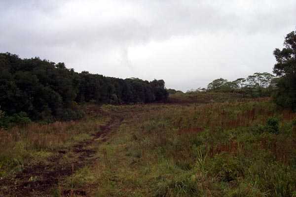 NORTH Rd Mountain View Mountain View, HI 96771 - Photo 5 of 7 Gallery Image 5