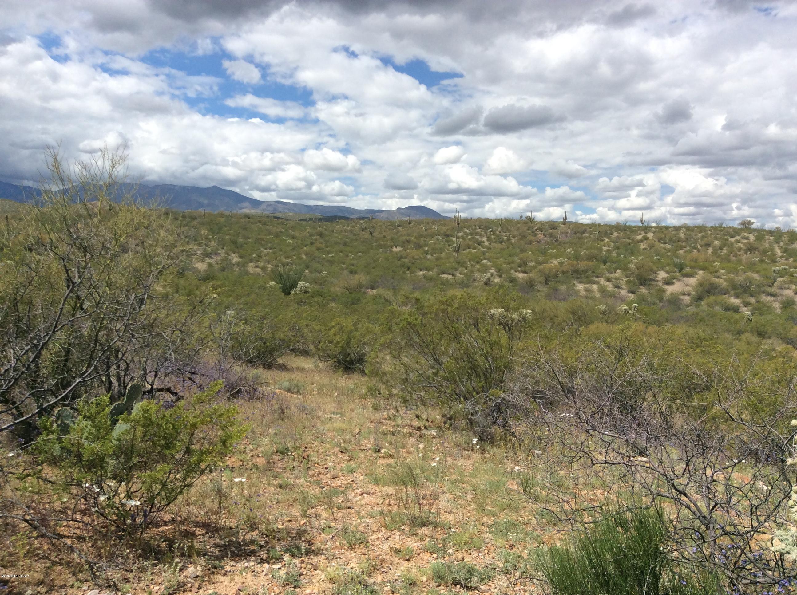 Peppersauce Mine Road San Manuel, AZ 85631 - Photo 5 of 33