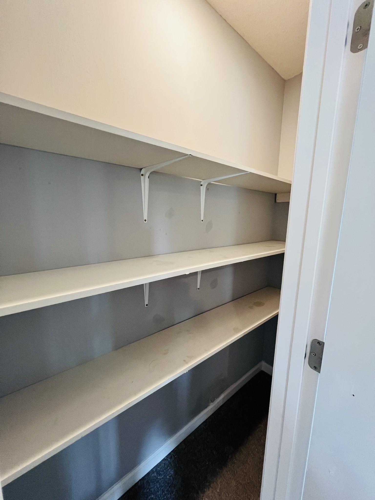 4861 Little Dry Creek Road Pulaski, TN 38478 - Photo 26 of 30 a close view of closet
