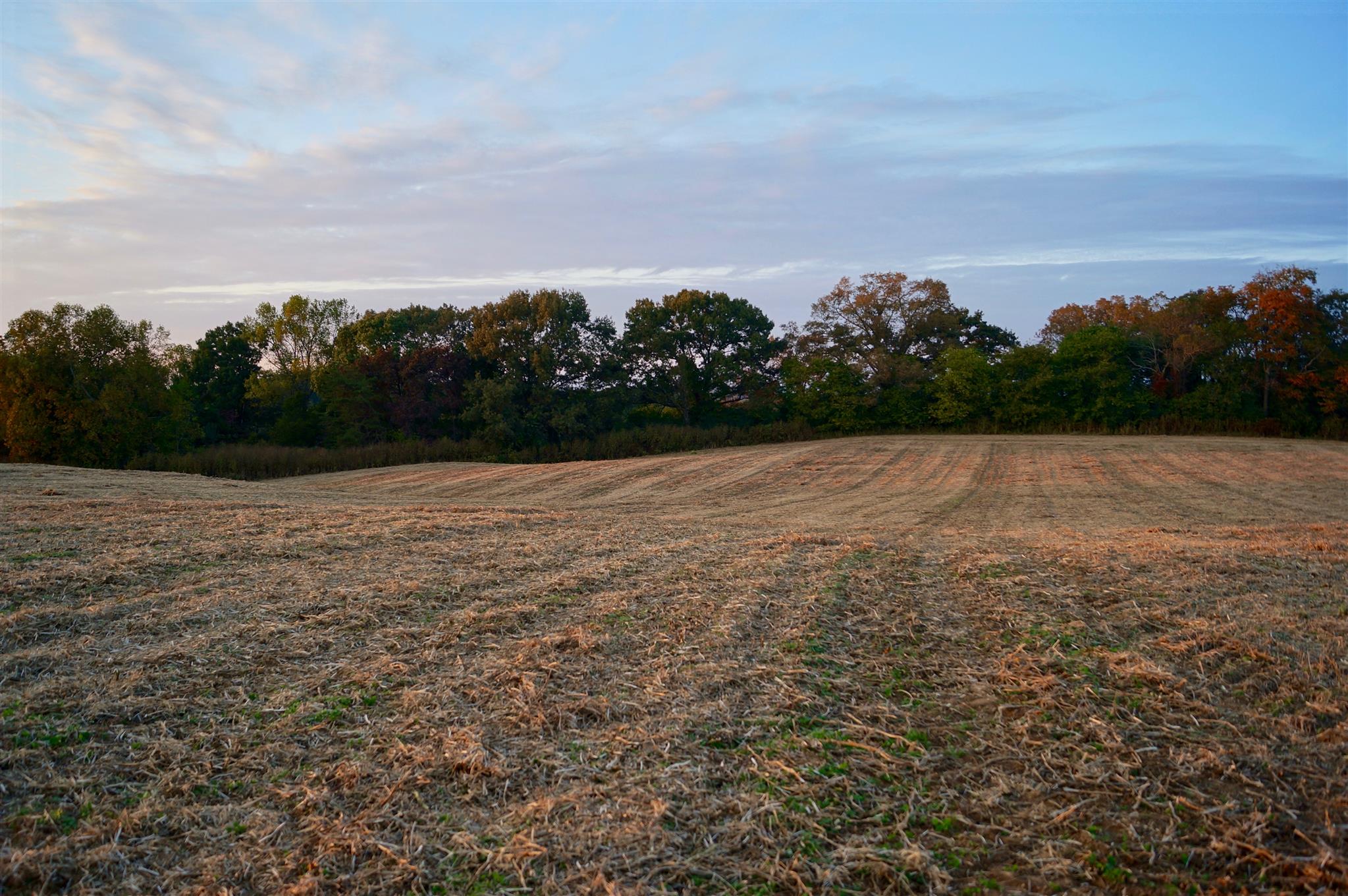 1434 Coles Chapel Road Sparta, TN 38583 - Photo 23 of 30 Gallery Image 23