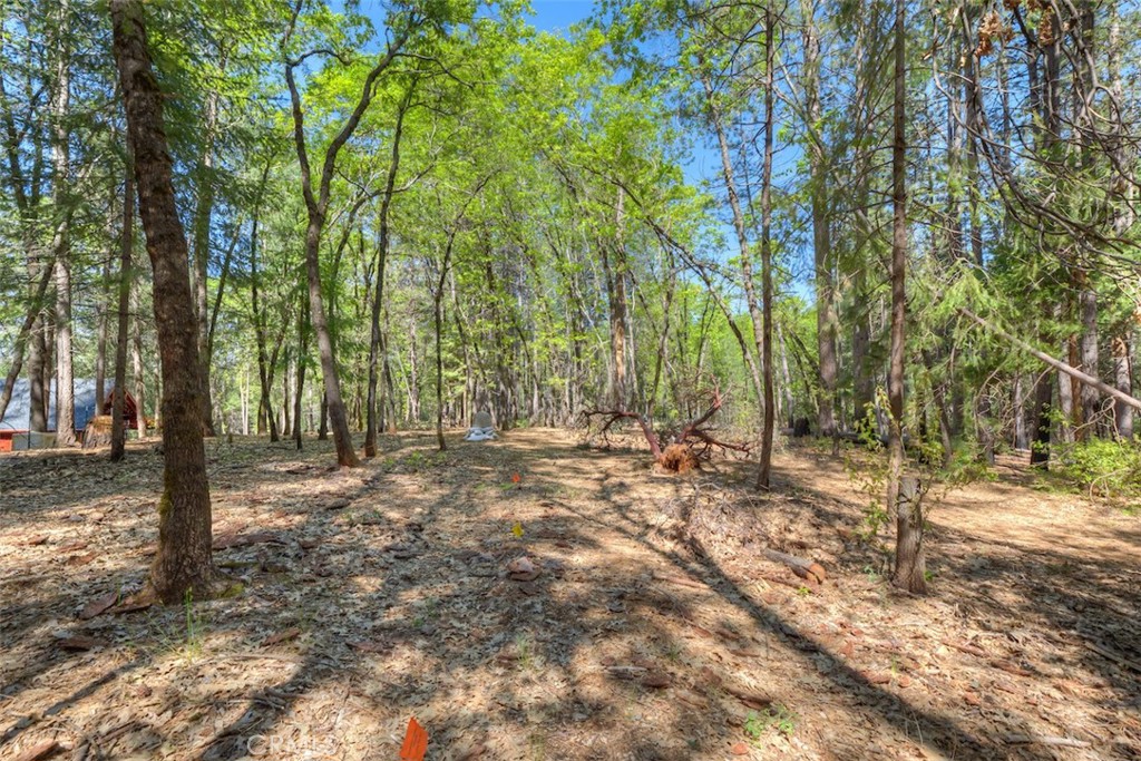 14565 Coutolenc Road Magalia, CA 95954 - Photo 31 of 43