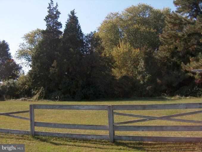 48680 Trapp Road St. Inigoes, MD 20684 - Photo 3 of 13 a view of a yard with large trees