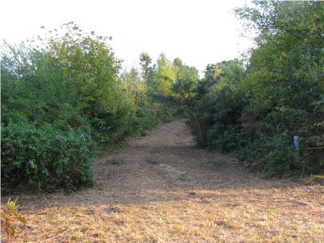 0 Woodstation Road Rock Spring, GA 30739 - Photo 3 of 6 20150122185412941562000000-o