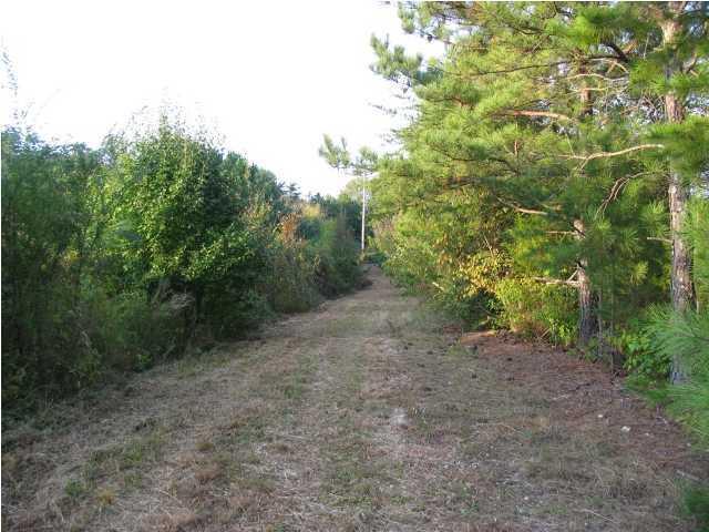 0 Woodstation Road Rock Spring, GA 30739 - Photo 4 of 6 20150122185413234671000000-o