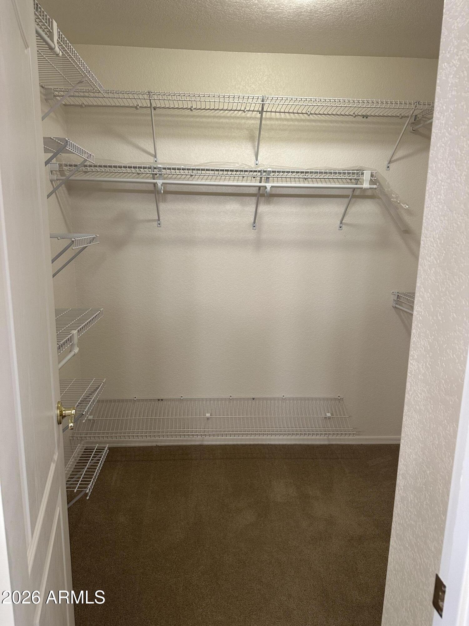 2101 South Meridian Road, Unit 172 Apache Junction, AZ 85120 - Photo 22 of 49 Walk-in Closet