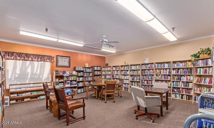 2101 South Meridian Road, Unit 172 Apache Junction, AZ 85120 - Photo 45 of 49 Reading Room