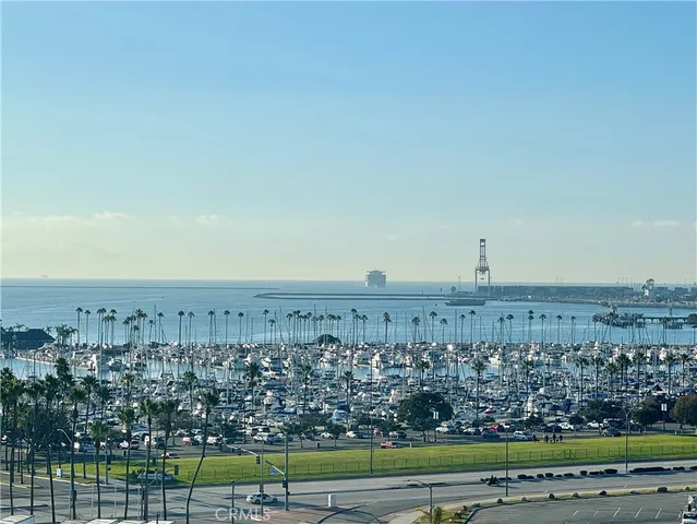 a living room with furniture potted plant and a window