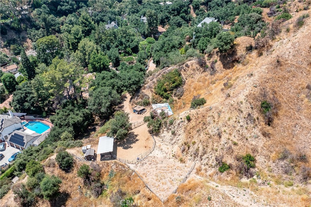 3597 Shaw Ranch Road Pasadena, CA 91107 - Photo 12 of 30 a view of outdoor space with lots of trees