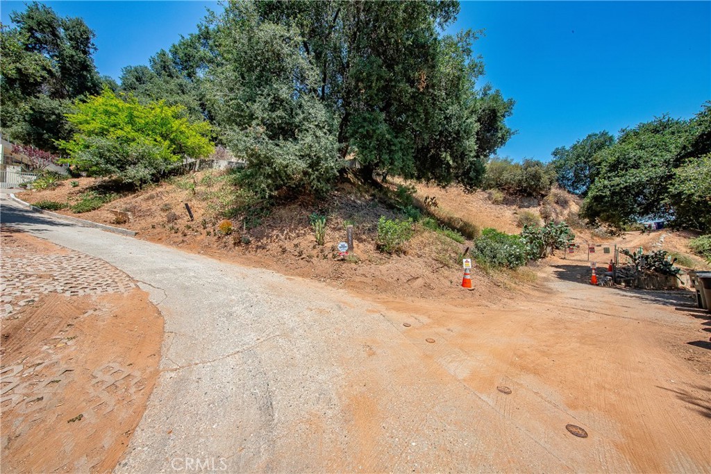 3597 Shaw Ranch Road Pasadena, CA 91107 - Photo 17 of 30 a view of a yard with plants and trees