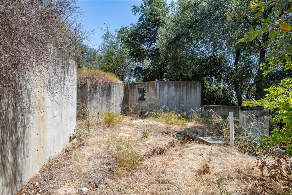 3597 Shaw Ranch Road Pasadena, CA 91107 - Photo 20 of 30 a backyard of a house with lots of green space