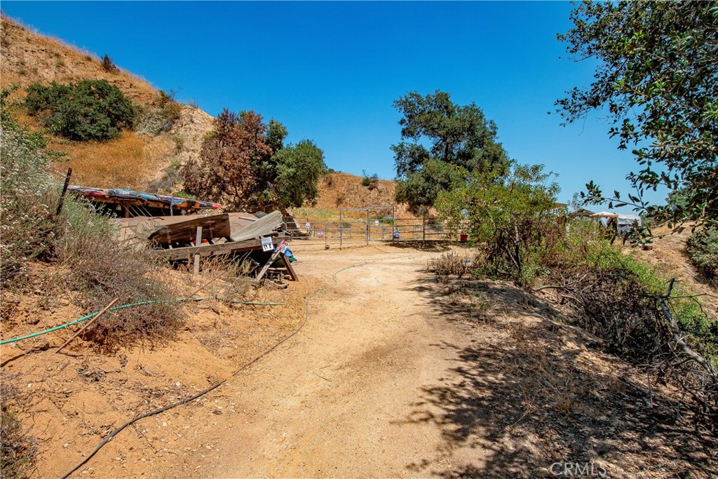 3597 Shaw Ranch Road Pasadena, CA 91107 - Photo 4 of 30 a view of a yard with a tree
