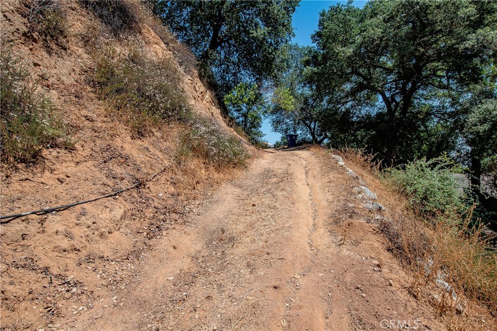 3597 Shaw Ranch Road Pasadena, CA 91107 - Photo 8 of 30 a view of a yard with a tree