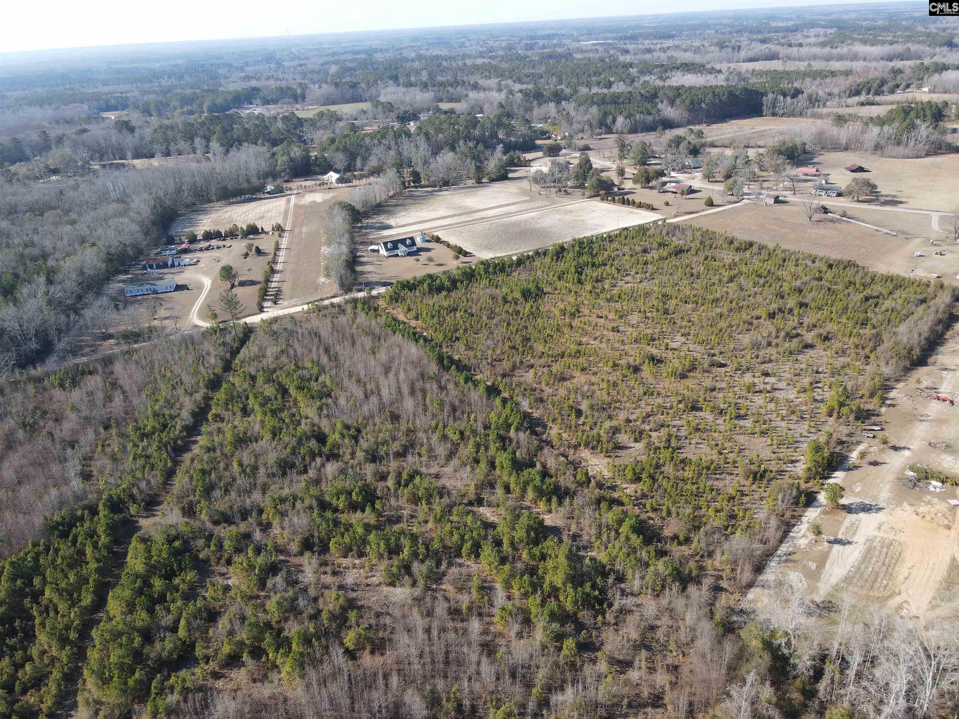0 Proctor Road Cope, SC 29038 - Photo 4 of 11